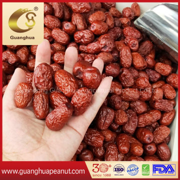 Chinese Red Jujube for Exporting Bulk Price